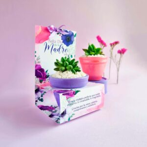 Suculentas - Día de la Madre